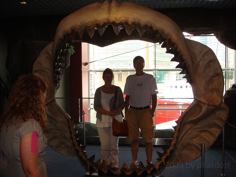 Baltimore [2009 July 02] 134.JPG - Scenes from Baltimore's Inner Harbor.